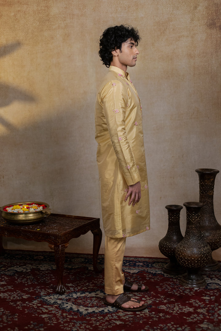 Padmajaal Pattu Kurta