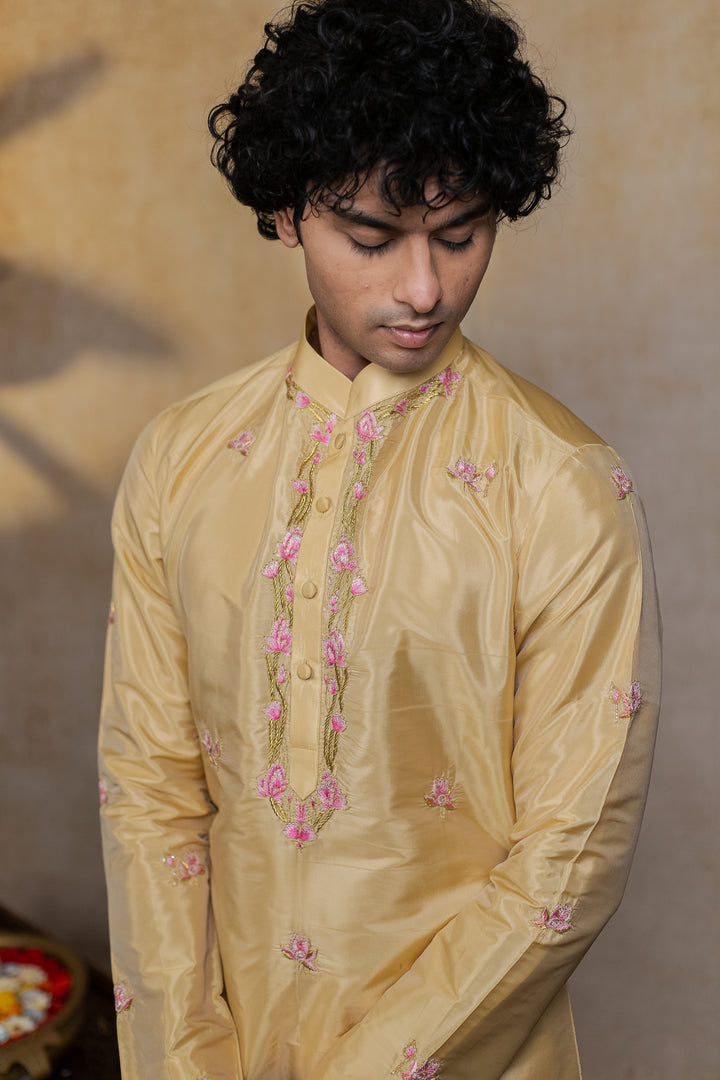 Padmajaal Pattu Kurta
